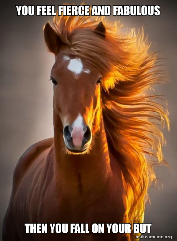 Ridiculously photogenic horse meme