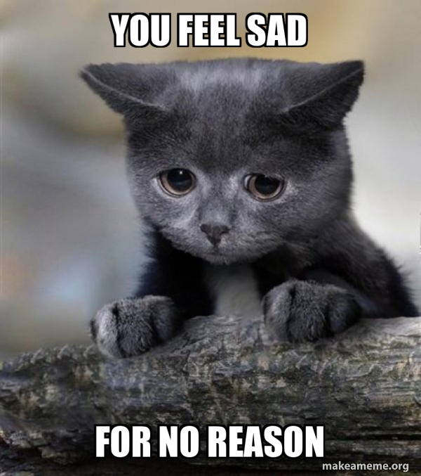you feel sad for no reason - Confession Cat Meme Generator