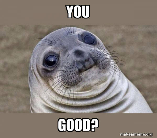 you good? - Squeamish Seal Meme Generator