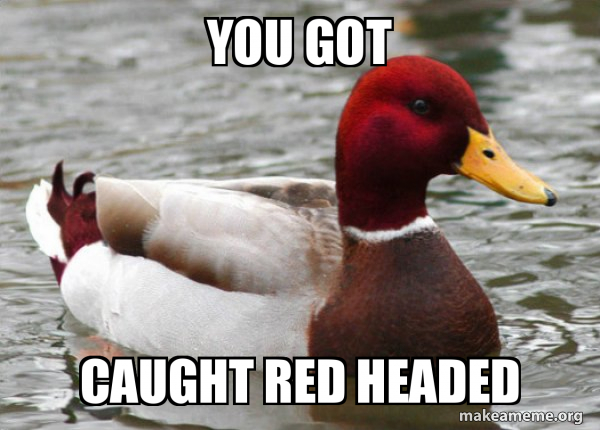 Malicious Advice Mallard meme