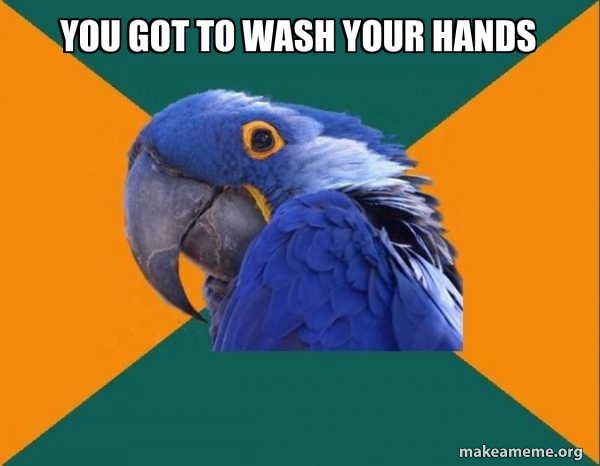 Paranoid Parrot meme