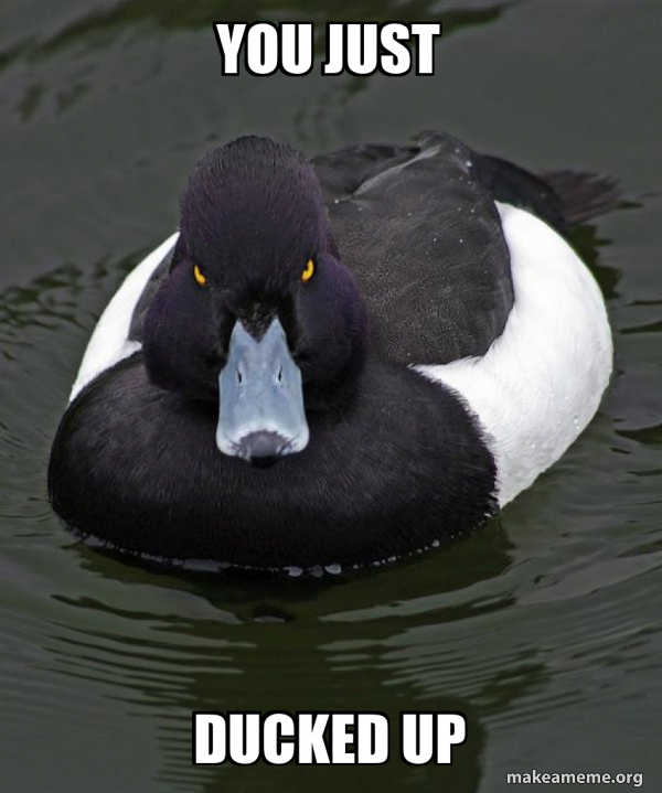 YOU JUST DUCKED UP - Revenge Duck ( Angry Advice Duck ) Meme Generator