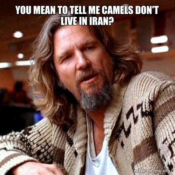 Big Lebowski meme