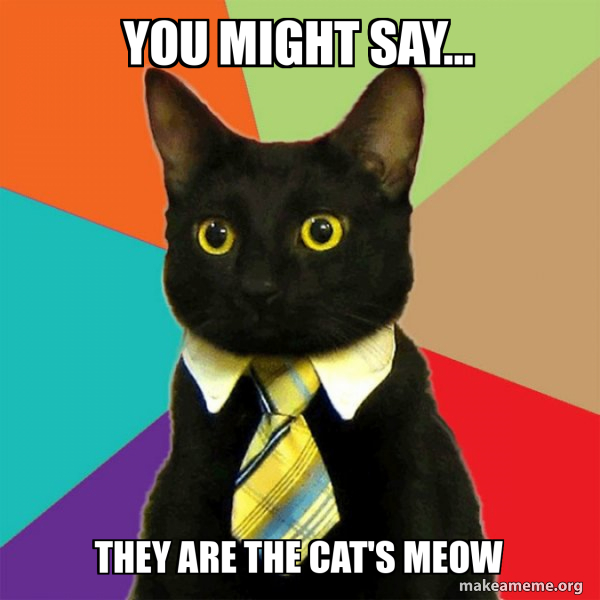 You Might Say They Are The Cat s Meow Business Cat Meme Generator You Might Say They Are The Cat s Meow Business Cat Meme Generator