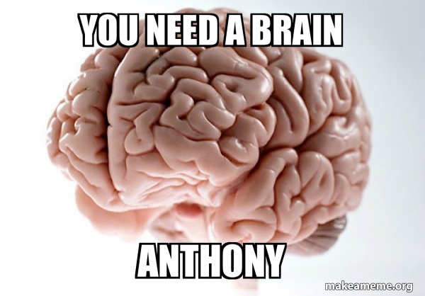 Scumbag Brain meme