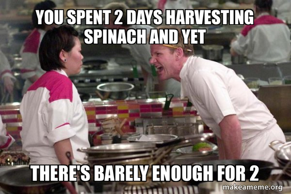 Gordon Ramsay meme