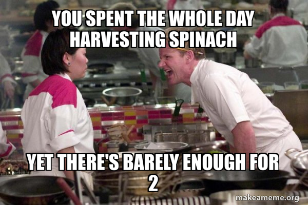 Gordon Ramsay meme