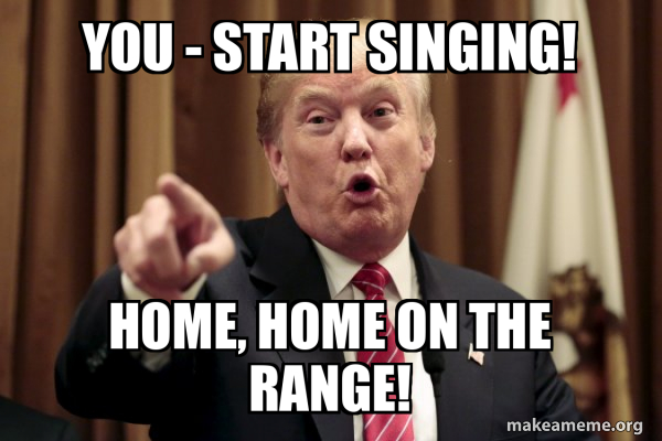 Donald Trump Says meme