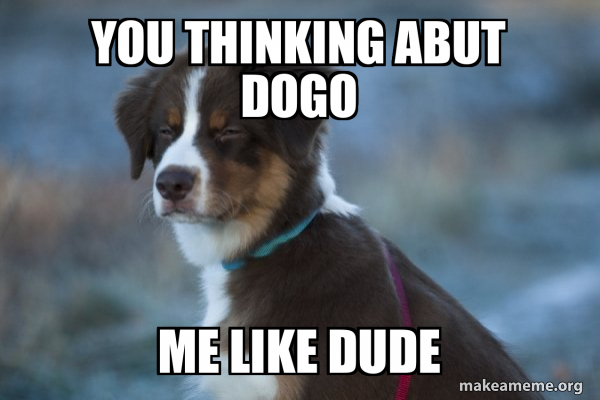 Unsure Dog meme