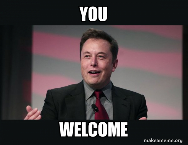 Elon Musk meme