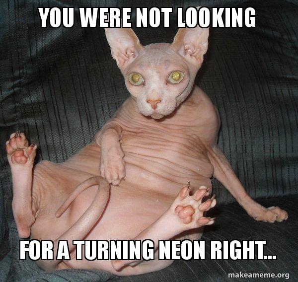 you-were-not-7cl5uv.jpg