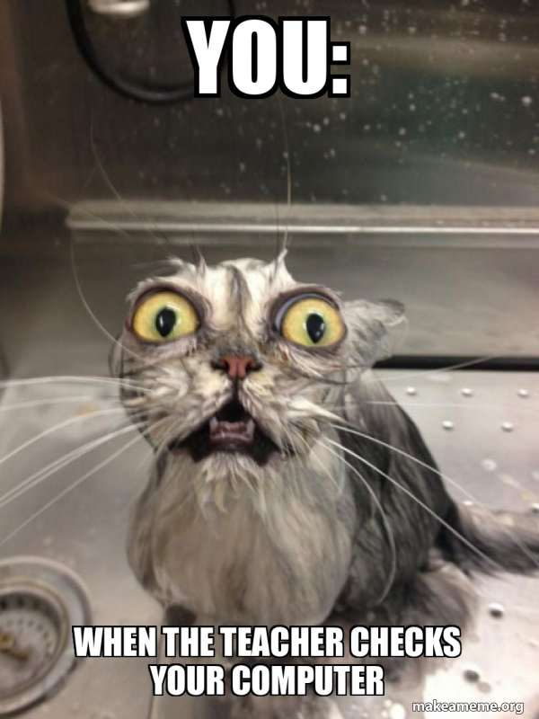 You: when the teacher checks your computer - Cat bath Meme Generator