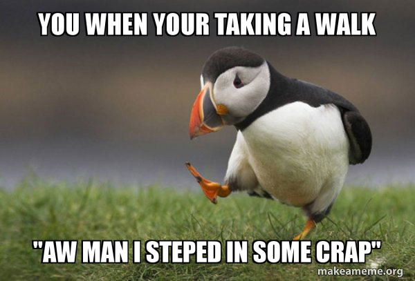 Unpopular Opinion Puffin meme