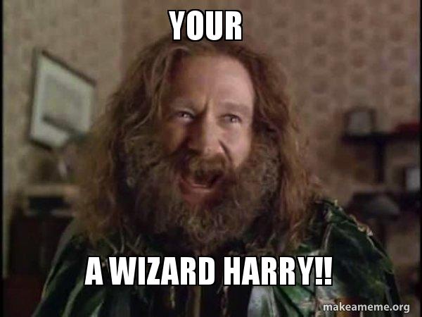 your a wizard harry robin williams what year is it jumanji