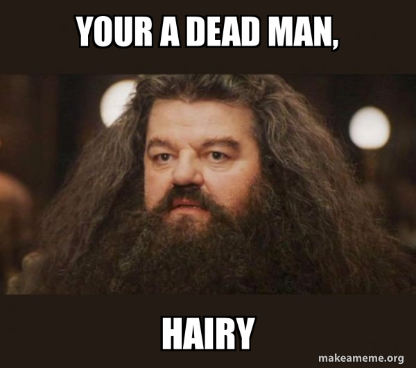 Hagrid - I should not have said that meme