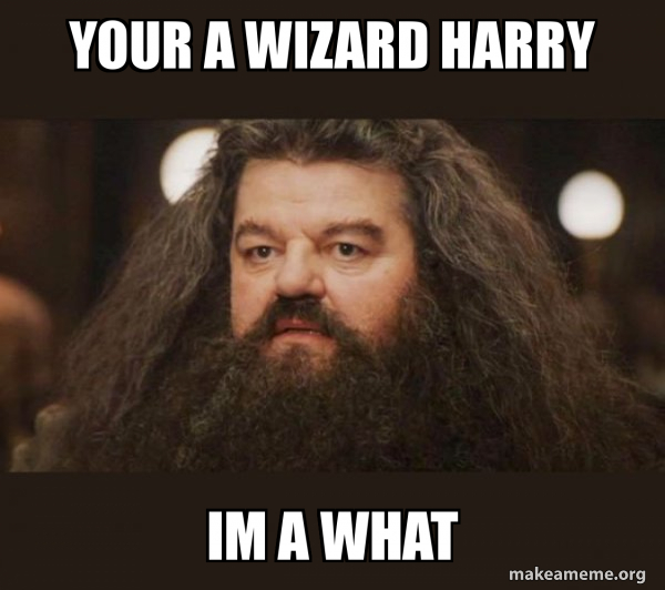 Hagrid - I should not have said that meme