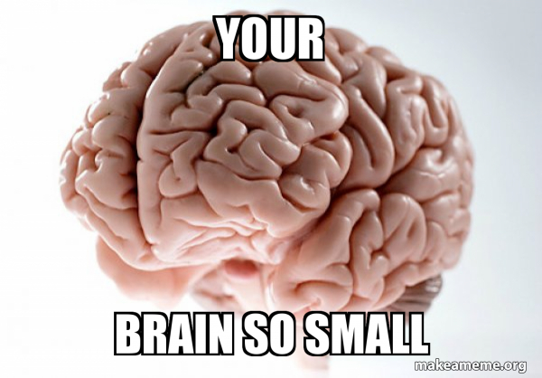 Scumbag Brain meme