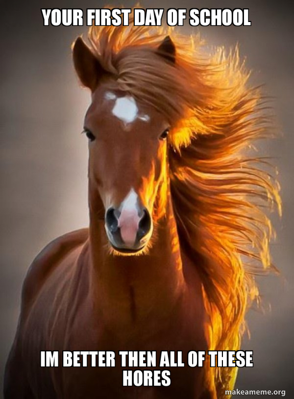 Ridiculously photogenic horse meme