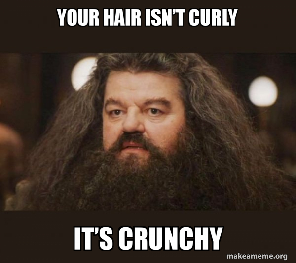 Hagrid - I should not have said that meme