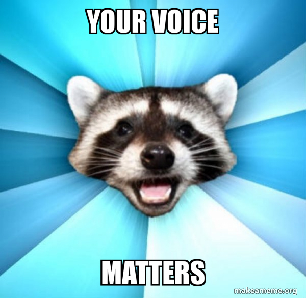Your Voice Matters Lame Pun Coon Meme Generator