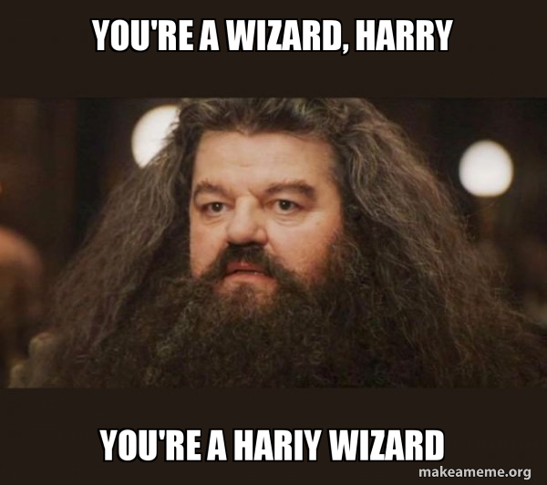 Hagrid - I should not have said that meme