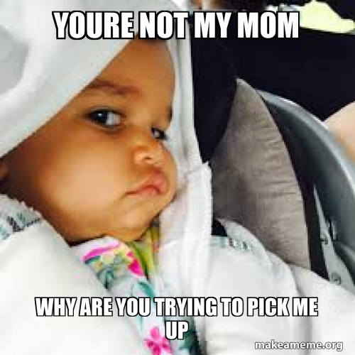 youre not my mom why are you trying to pick me up Meme Generator
