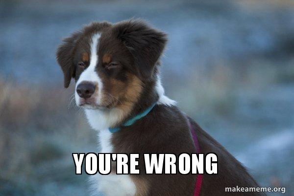 youre-wrong-rcpkeo.jpg
