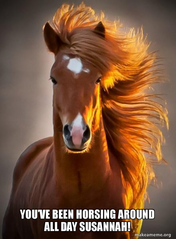 Ridiculously photogenic horse meme