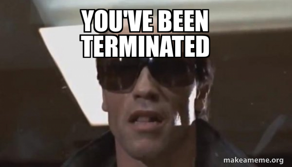 The Terminator meme