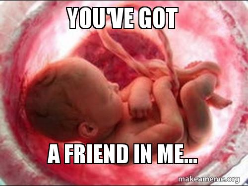 Friend In Me Meme you've got a friend in me... - Literally... Meme Generator