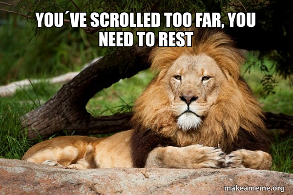 Contemplative Lion meme