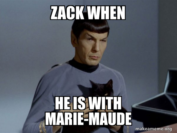 Spock and Cat Meme meme