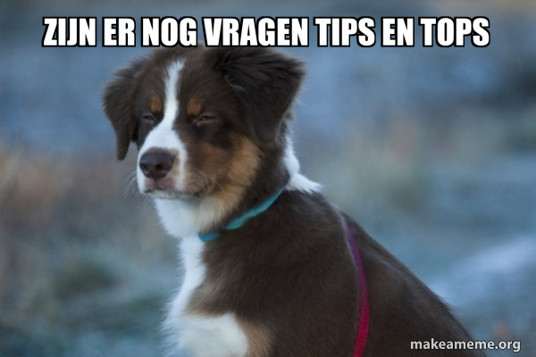 Unsure Dog meme