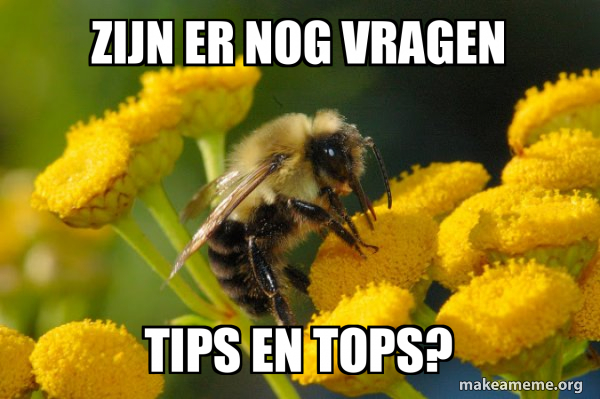 Good Guy Bee meme