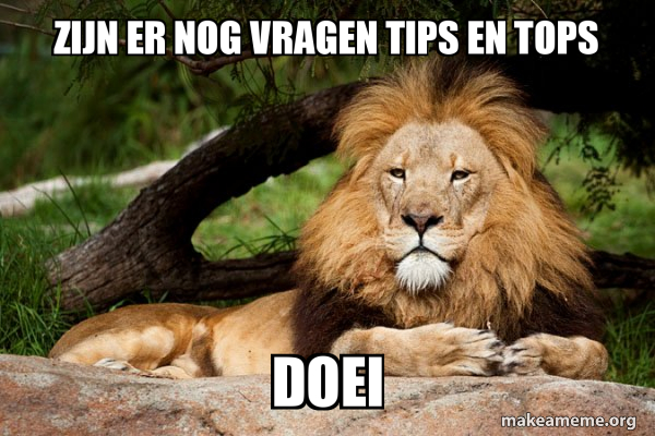 Zijn er nog vragen tips en tops Doei - Contemplative Lion Meme Generator