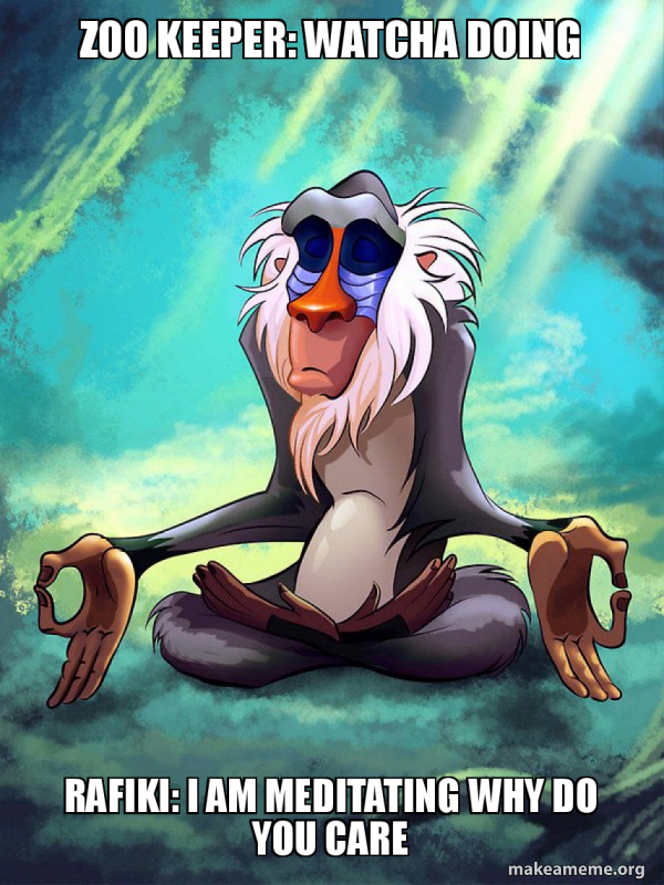 zoo-keeper-watcha-doing-rafiki-i-am-meditating-why-do-you-care